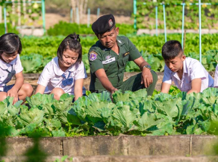 lp-farm-sook-img09-may2025.jpg